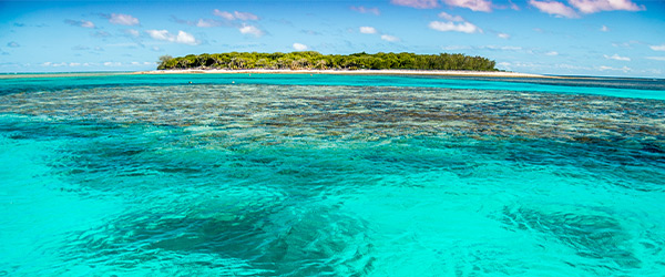 lady-musgrave-island