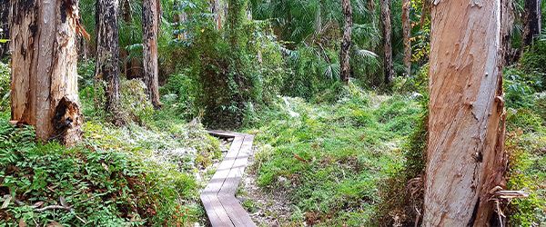 reedy-creek-reserve