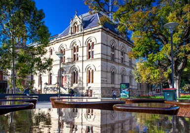 Street view of South Australian Museum
