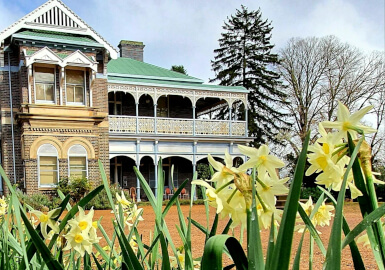 Front of Saumarez House