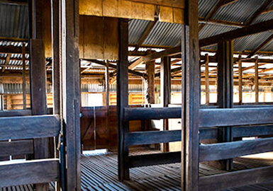 Shearing stalls in Jondaryan Woolshed