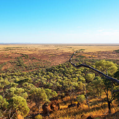 Aerial view of the Winton landscape