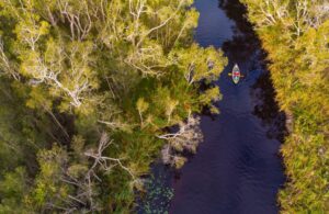 Noosa Everglades