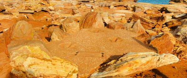 broome-dinosaur-footprints-600×250