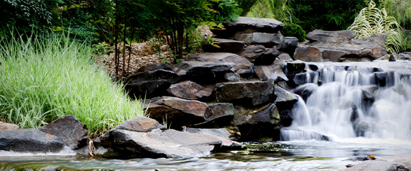 bundaberg-botanic-gardens
