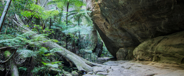canarvon-gorge