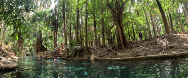 elsey_national_park_thermal_pool_650x250