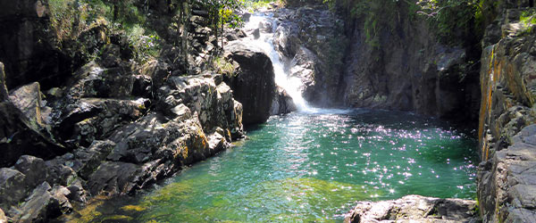 eungella-national-park