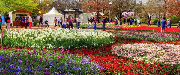 floriade-canberra