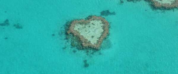 heart-reef_600x250