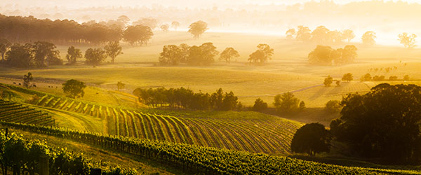 hunter-valley