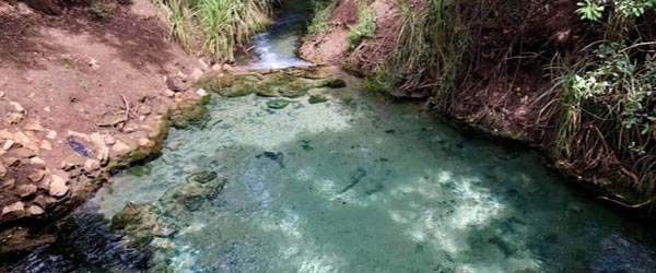katherine-springs-600×250