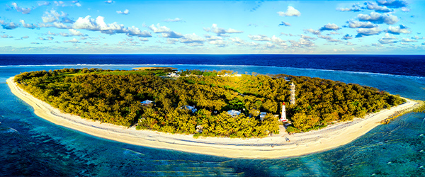 lady-elliot-island