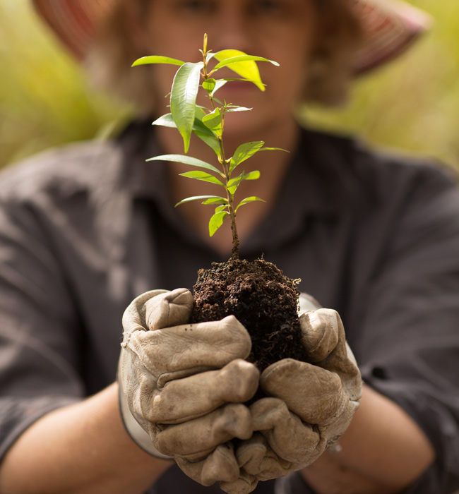 landcare-landing-page-hero