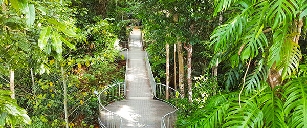 mamu-tropical-skywalk