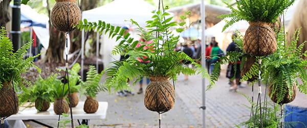 noosa_eumundi_600x250