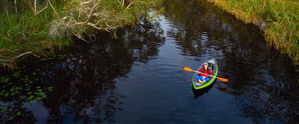 noosa_everglades_600x250