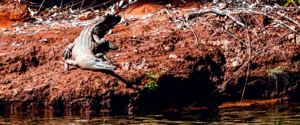 ord-river-kununurra