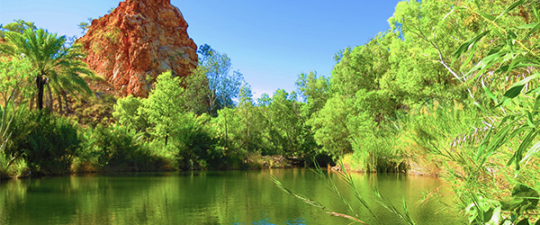 palm-springs-nature-reserve