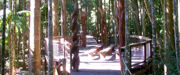 sea-acres-rainforest-centre