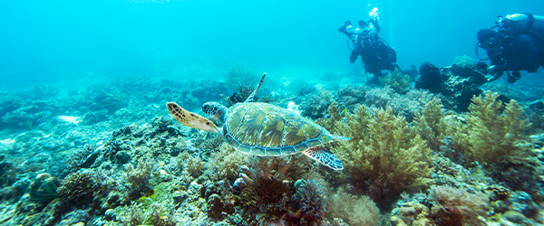 solitary-islands-marine-park