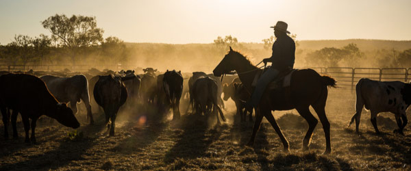 stockmans-hall-of-fame-longreach