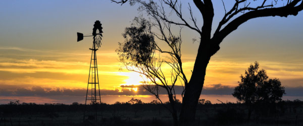 sunset-thomson-river-cruise