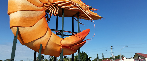 the-big-prawn