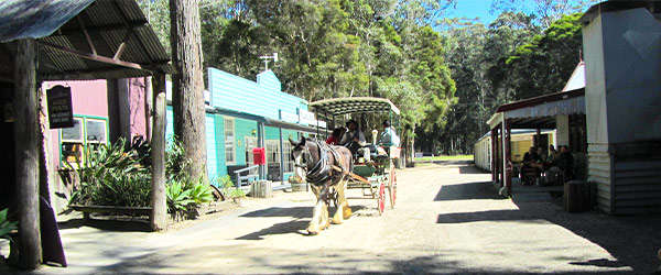 timbertown