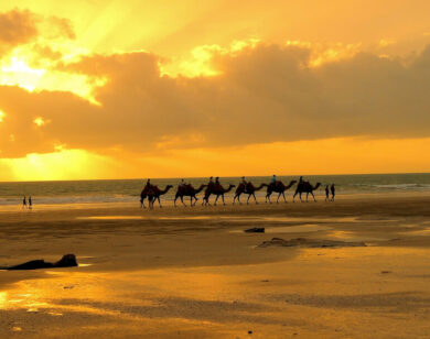 Camel train on Cable Beach at sunset.
