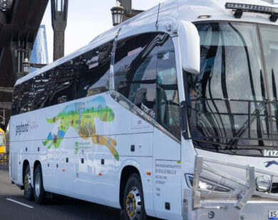 Greyhound coach on Sydney Harbour Bridge.