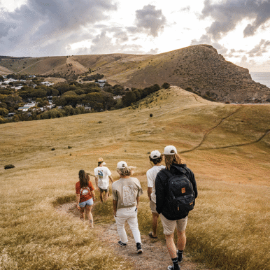 Group of friends walk down a grassy hill in the afternoon.