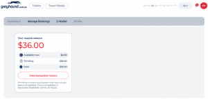 G-Wallet balance screen.